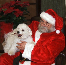 [Image: DogSanta.jpg]